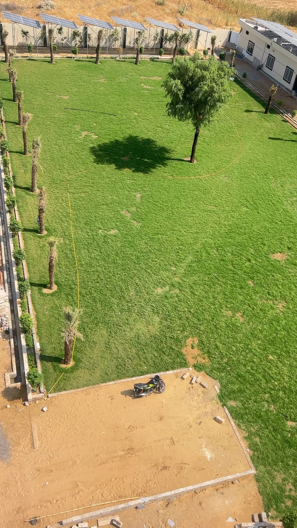 Manicured lawn at Jay Mahal Hotel & Resort, Sardarshahar